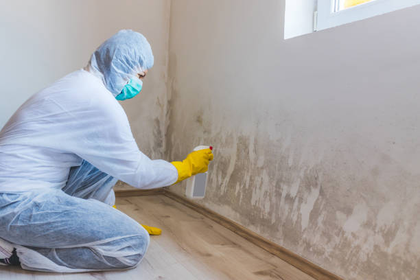 Mold Testing and Removal in East End, AR