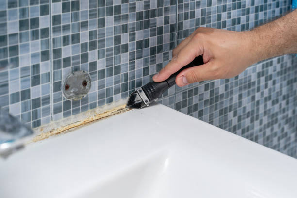 Best Mold Remediation  in East End, AR