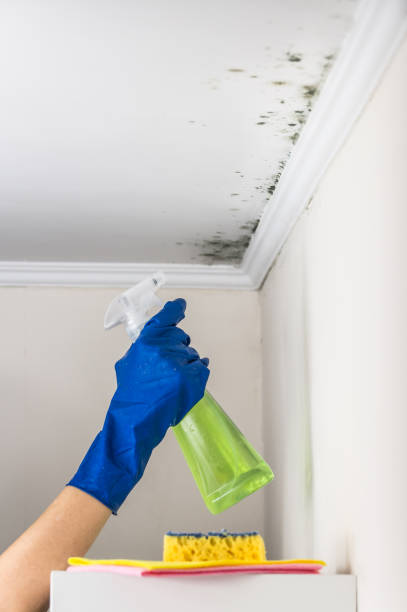 Water Damage Restoration in East End, AR